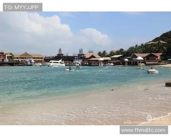 足球牛尾巴的奇妙旅程与背后的故事揭秘